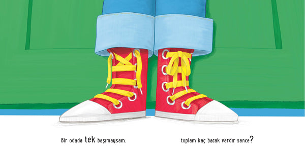 Ne Çok Bacak! (Aşırı Eğlenceli Sayma ve Toplama Kitabı)