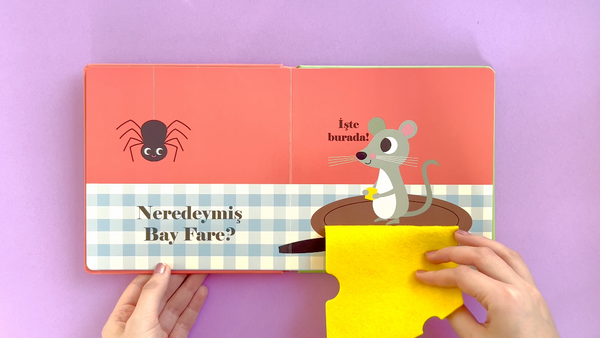 Neredeymiş Bay Köpek?