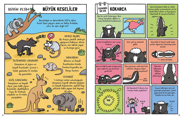 Kakanın, Pandanın ve Senin Yaşamında Bir Gün