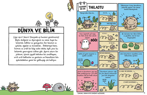 Kakanın, Pandanın ve Senin Yaşamında Bir Gün