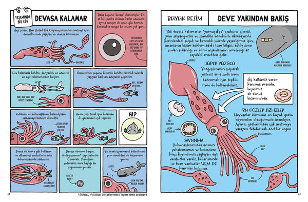 Kakanın, Pandanın ve Senin Yaşamında Bir Gün