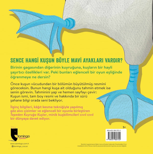 Tepeden Kuyruğa - Kuşlar