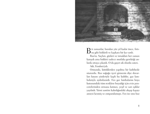 Feo ve Kurt (Karton Kapak)