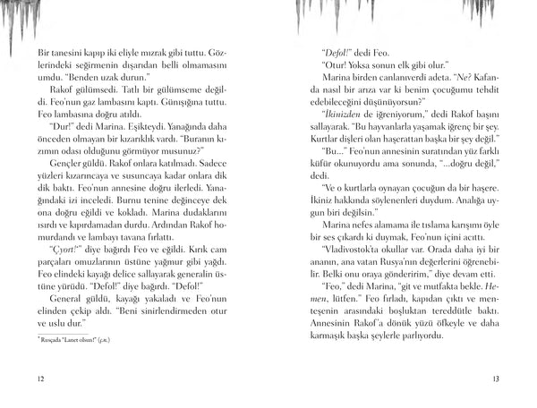 Feo ve Kurt (Karton Kapak)