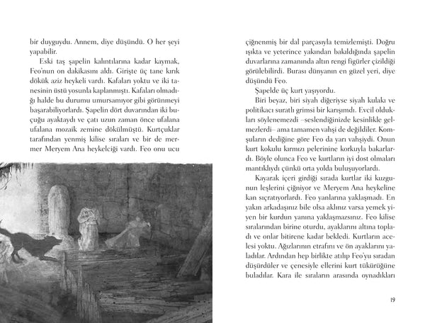 Feo ve Kurt (Karton Kapak)