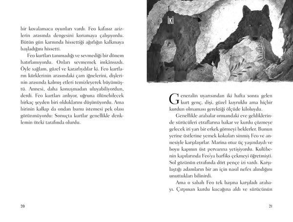 Feo ve Kurt (Karton Kapak)