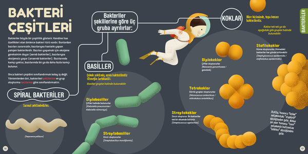 İlk Mikrop Kitabım