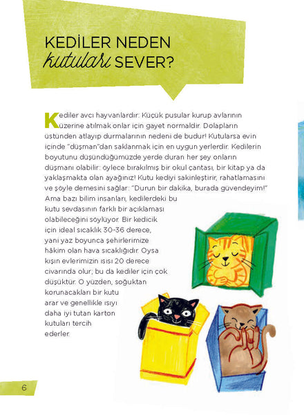 Peki Ama Neden? – Hayvanlar