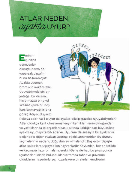 Peki Ama Neden? – Hayvanlar