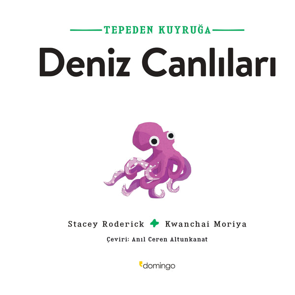Tepeden Kuyruğa - Deniz Canlıları