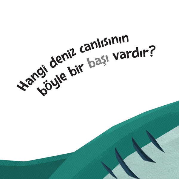 Tepeden Kuyruğa - Deniz Canlıları