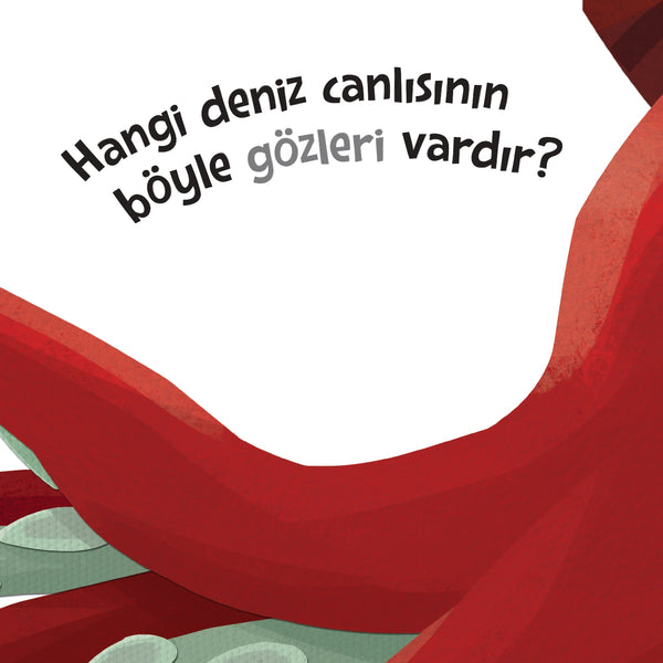Tepeden Kuyruğa - Deniz Canlıları