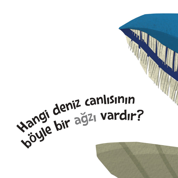 Tepeden Kuyruğa - Deniz Canlıları