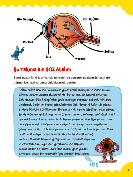 Vay Be Dünya! 2 - Tepeden Tırnağa İnsan Vücudu (İçindeki Bütün Tuhaflıklarla!)