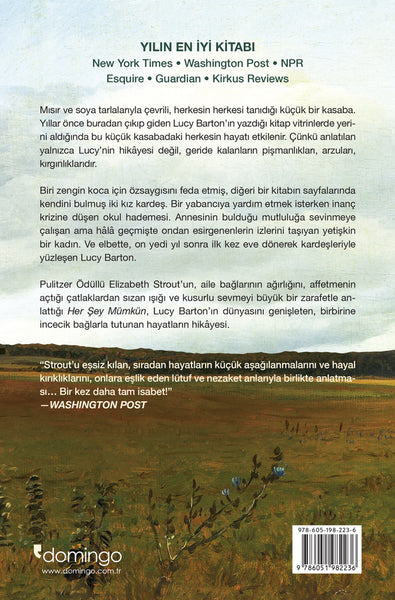 Her Şey Mümkün: Bir Lucy Barton Romanı