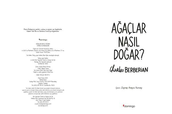 Ağaçlar Nasıl Doğar?