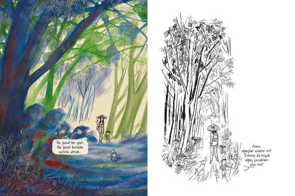 Ağaçlar Nasıl Doğar?