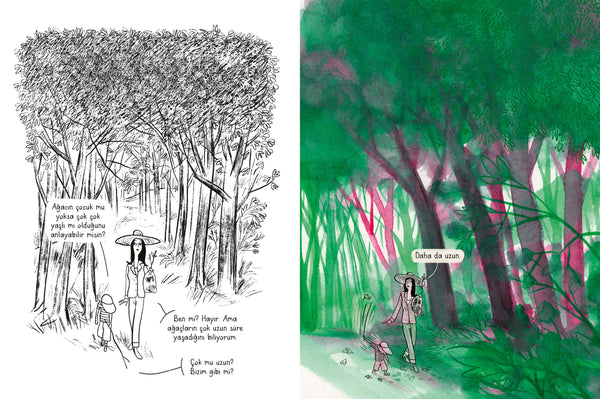 Ağaçlar Nasıl Doğar?