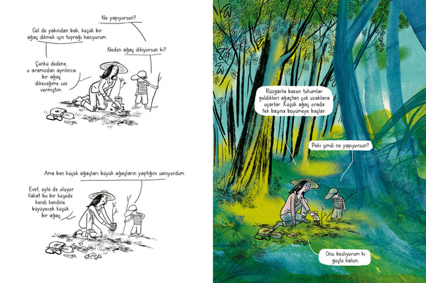 Ağaçlar Nasıl Doğar?