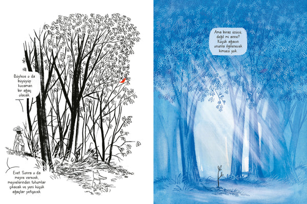 Ağaçlar Nasıl Doğar?