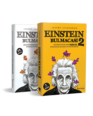 Einstein Bulmacası Seti (2 Kitap) – DOMİNGO YAYINEVİ